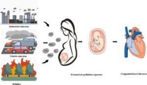 This is not an ideal AQI of pregnant women or new born kids