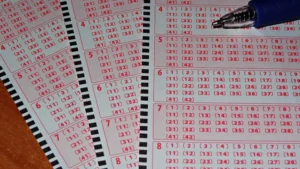 How does the Shillong teer lottery work?