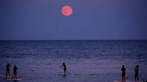 Strawberry Moon