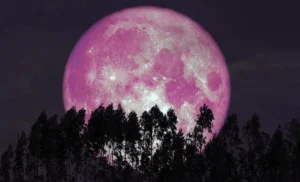 Strawberry Moon 2025