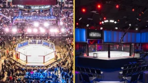 UFC 318