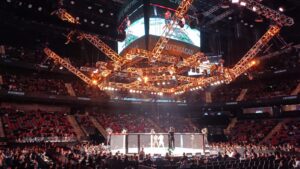 UFC 318