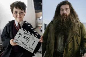 Harry Potter TV Series