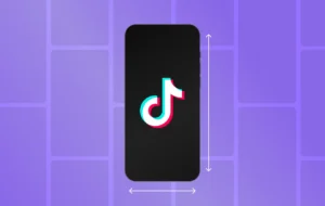 TikTok in India 2025