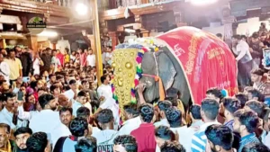 Madhuri Elephant Case