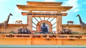 Bird Flu in UP : Gorakhpur Zoo