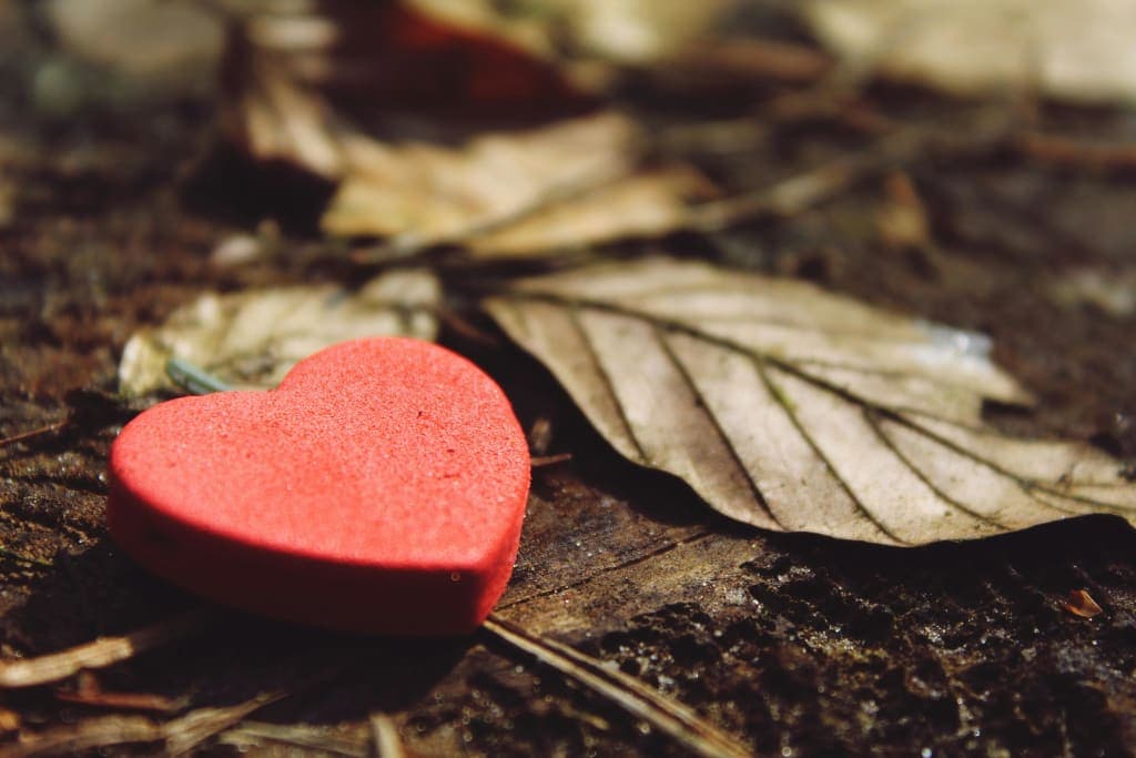 Evolution of Love : 4 Uplifting Ways Love transforms with Every Generation
