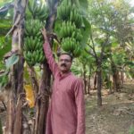 સાબરકાંઠામાં એક એન્જિનિયરે શિક્ષણ-ટેકનોલોજી અને ખેતીના સમન્વયથી કૃષિની નવી દિશા ચિંધી