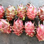 સાબલવાડના નિવૃત શિક્ષકે પ્રાકૃતિક ખેતી દ્રારા ખેડૂતોને નવો રાહ ચિંધ્યો