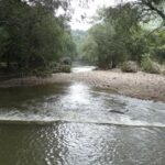 ઉત્તર ગુજરાતમાં કમોસમી વરસાદનો સપાટો, ખેડૂતની મહેનત પર પાણી ફરી વળ્યું