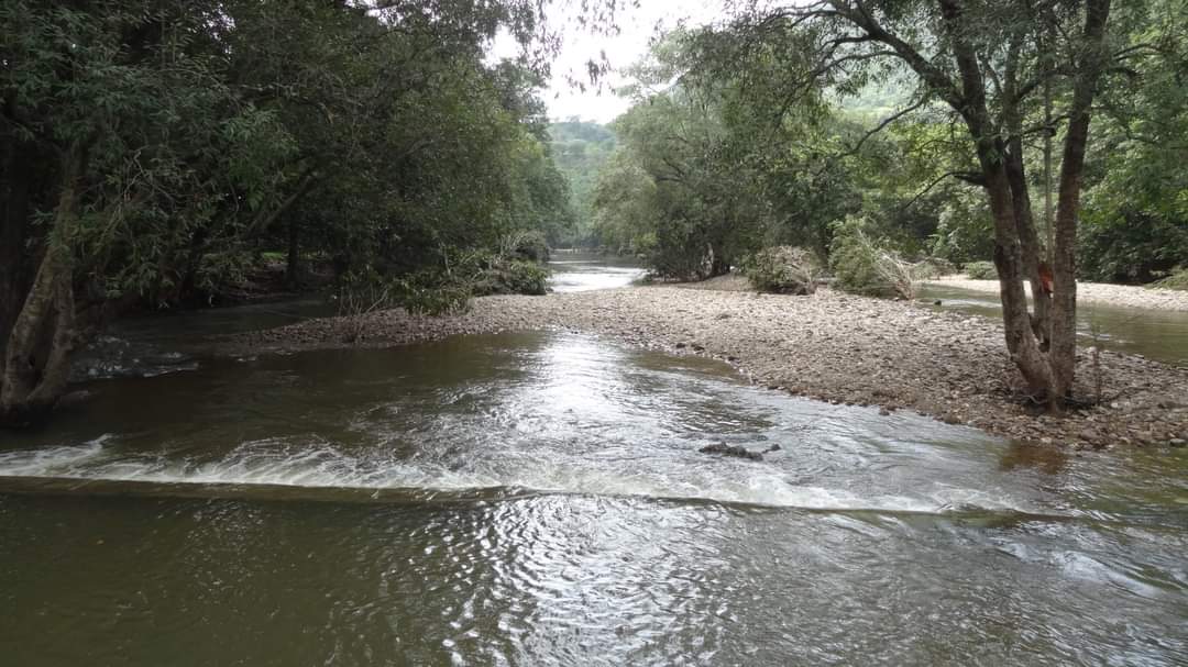 ઉત્તર ગુજરાતમાં કમોસમી વરસાદનો સપાટો, ખેડૂતની મહેનત પર…