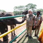 ભારતના વન્યજીવનમાં વાઘની સંખ્યા 3000 થી ઉપર પહોંચી ગઈ- પીએમ મોદી