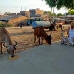 કાશીન્દ્રા ગામના અગાઉ સરપંચ અંબાલાલ રાઠોડએ ઉજવ્યો અનોખો જન્મદિવસ