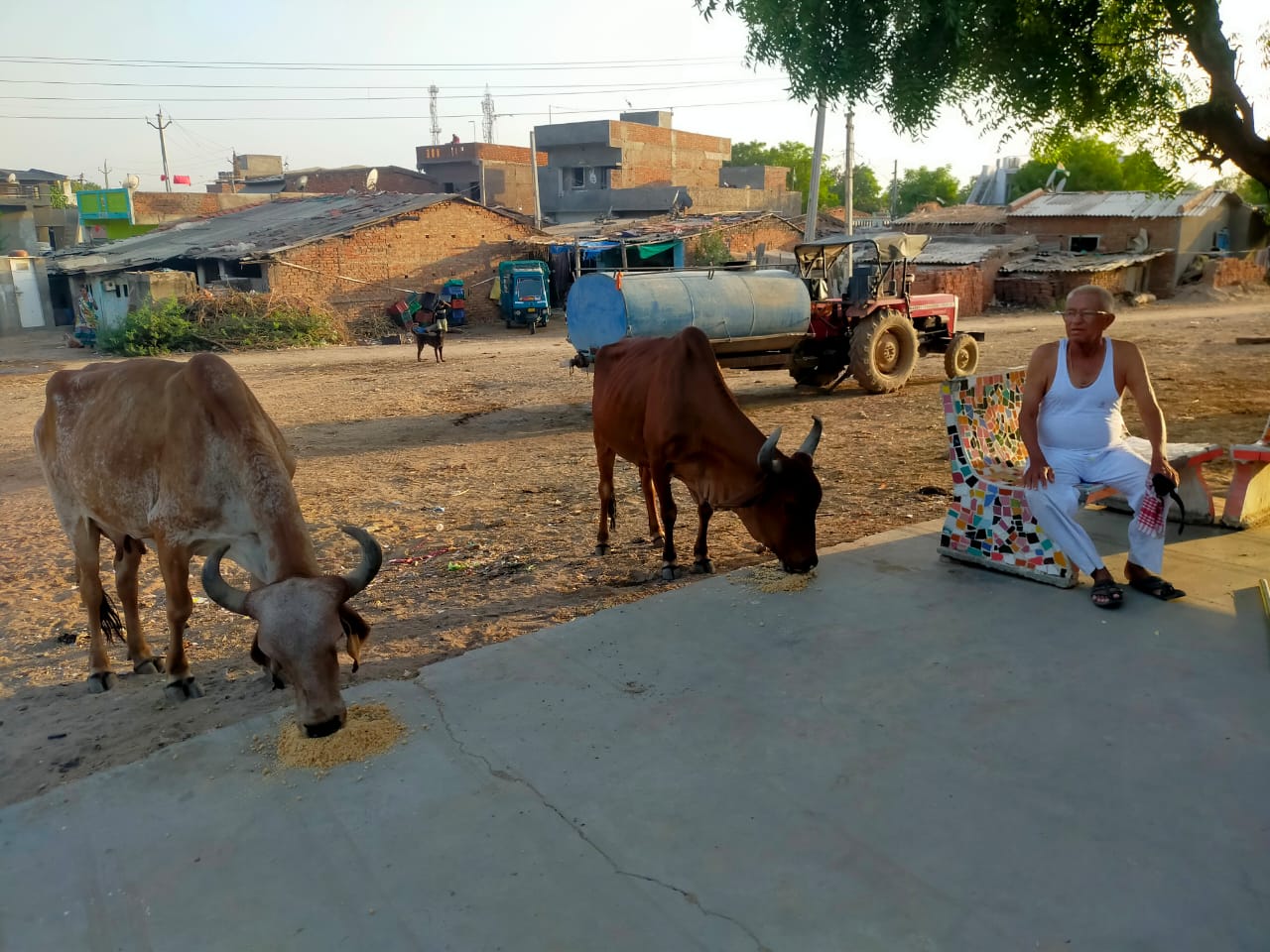 કાશીન્દ્રા ગામના અગાઉ સરપંચ અંબાલાલ રાઠોડએ ઉજવ્યો અનોખો…