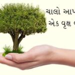 ઈડરના વીરપુર ખાતે જિલ્લાકક્ષાનો વિશ્વ પર્યાવરણ દિવસ ઉજવાયો