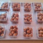 ભાખરા ગામની બહેનોએ મહુડાના લાડુ બનાવી આત્મનિર્ભય ગામ રજૂ કર્યું