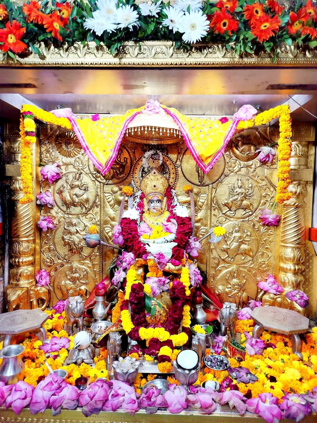 UPના મૌર્ય સમાજના ભક્તો વડે હિંમતનગરમાં મા અંબાનો…