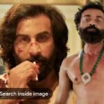 જમાલકુડુ: જાણો એનિમલ ફિલ્મના અતિ લોકપ્રિય થયેલા સંગીતના ધૂનની રહસ્યમય વાત