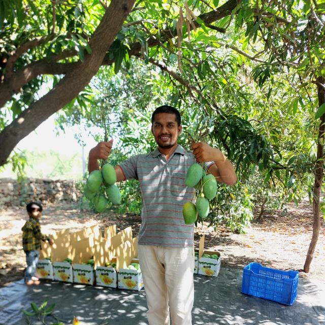 ગીર સોમનાથના ખેડૂતો હિંમતનગર કેસર કેરી વેચવા આવશે