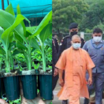 Chief Minister Yogi Adityanath