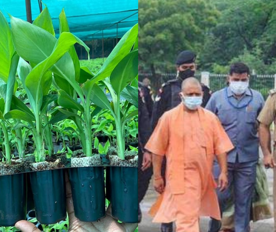 Chief Minister Yogi Adityanath