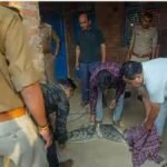 Uttar Pradesh (UP मे रात के सन्नाटे में चारपाई हिलने से जागी महिला: जाने क्या था मामला?)