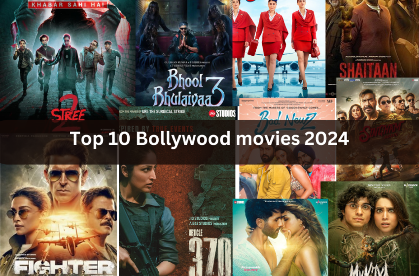  Top 10 Bollywood movies 2024 की बॉलीवुड फिल्मों का सुनहरा सफर