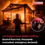 Los Angeles┬аWildfire