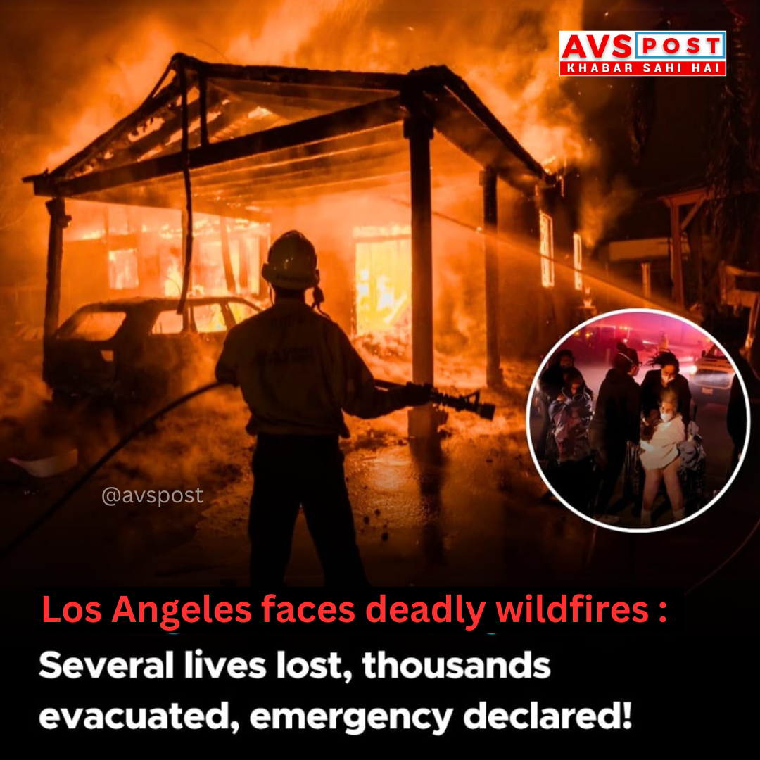 Los Angeles Wildfire