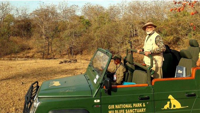 PM at Gir national park: A step towards the wildlife conservation.