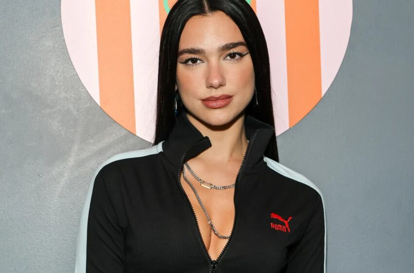“Dua Lipa: 10 Strong Arguments for Her Worldwide Icondom”