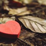 Evolution of Love : 4 Uplifting Ways Love transforms with Every Generation