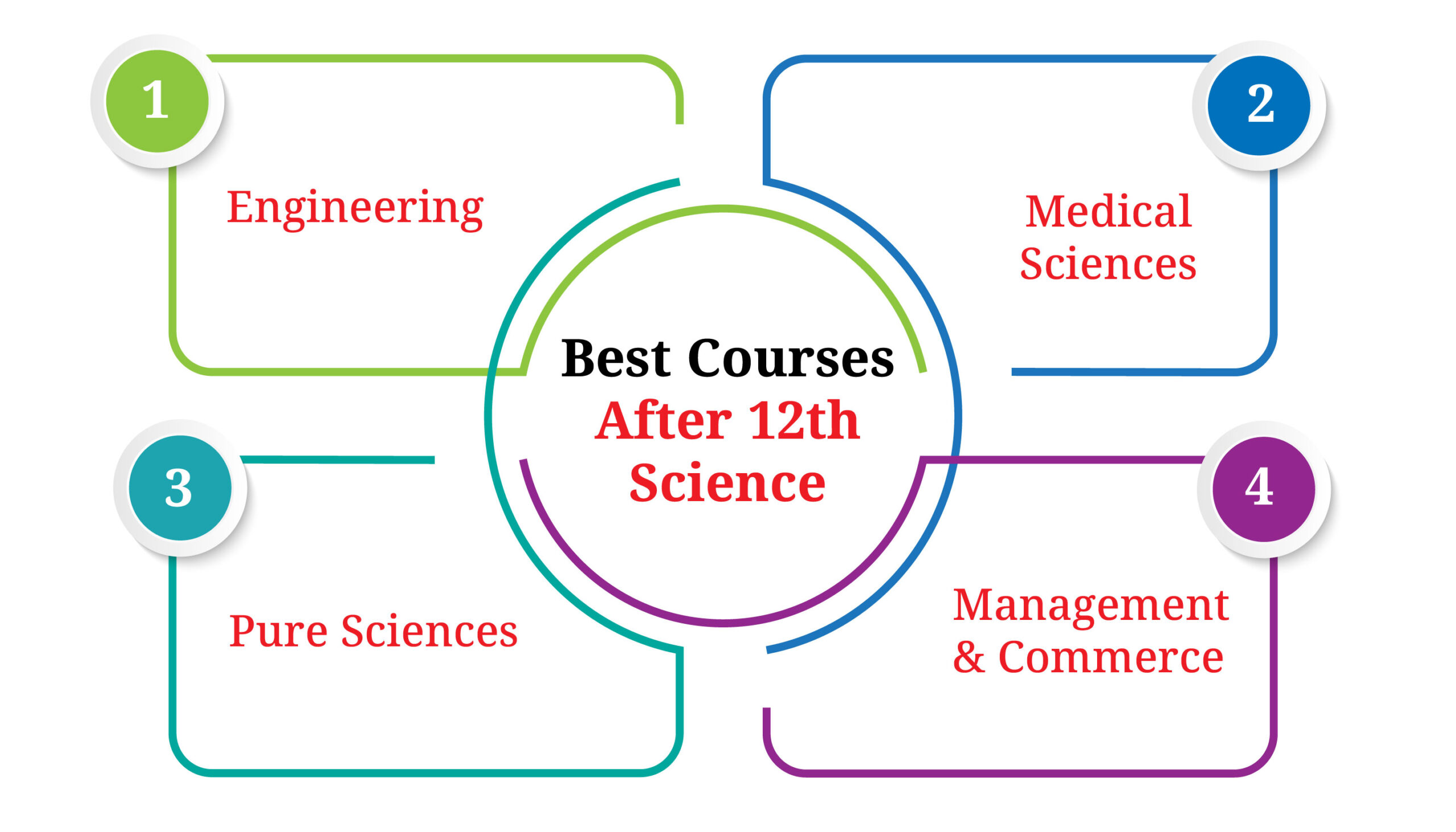 Top 10 Courses After Class 12