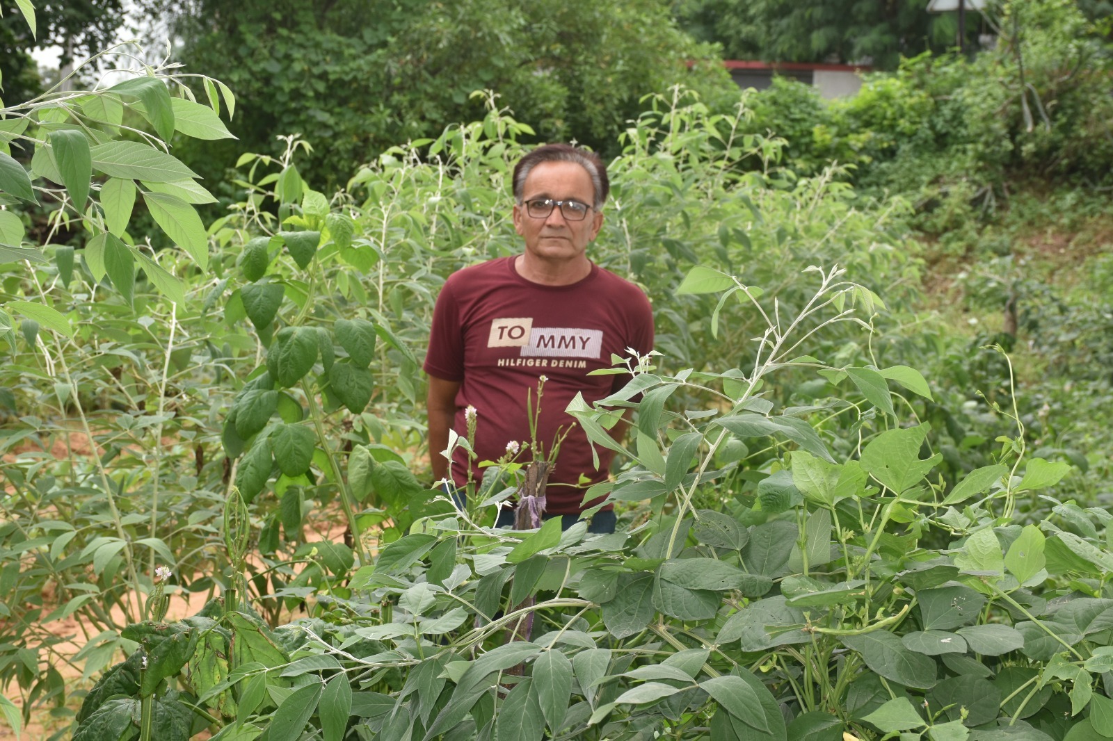 પંચસ્તરીય મોડેલ ફાર્મ થકી પ્રાકૃતિક ખેતીના પાકોનું વાવેતર કરી…