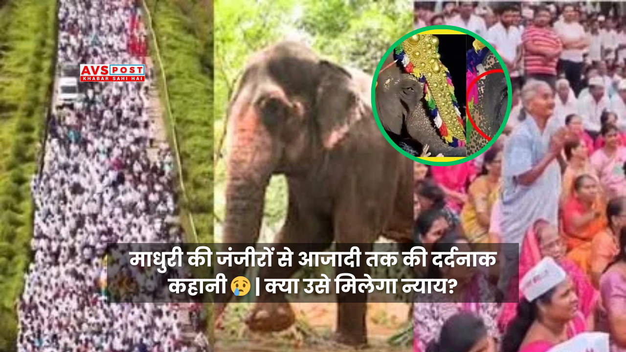 Madhuri Elephant Case