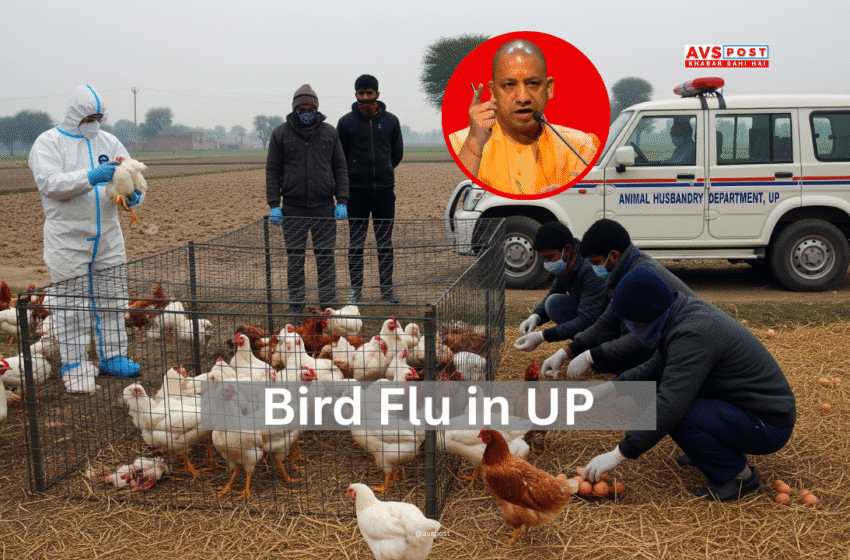 Bird Flu in UP : योगी सरकार की सख्ती, पोल्ट्री और चिड़ियाघर पर बड़ा असर, जनता के लिए अलर्ट