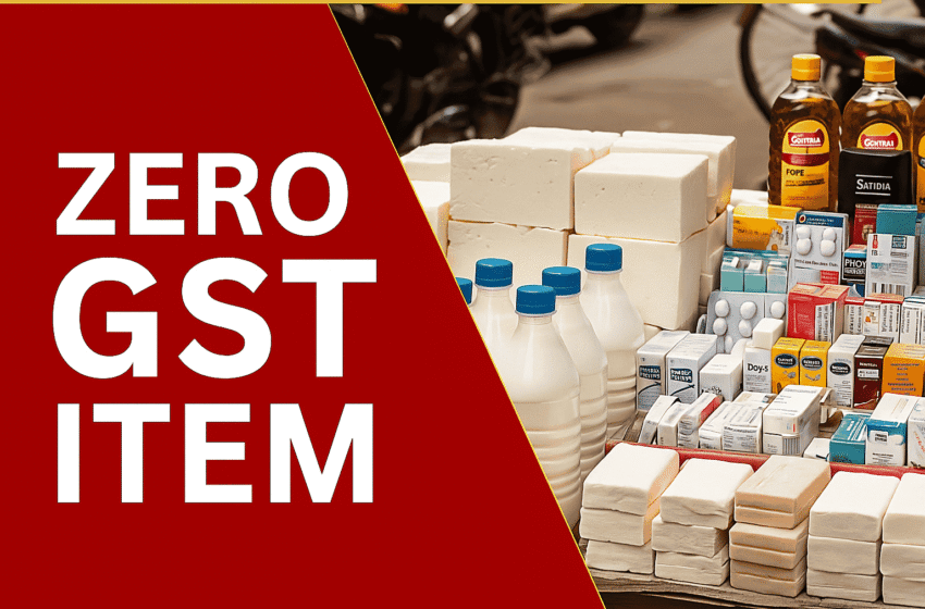 22 सितंबर से Zero GST Item की नई लिस्ट: जानिए कौन-कौन से प्रोडक्ट्स टैक्स-फ्री हुए
