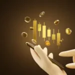 SEBI Digital Gold Advisory 2025