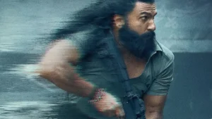 Dhurandhar Box Office Collection Day 29