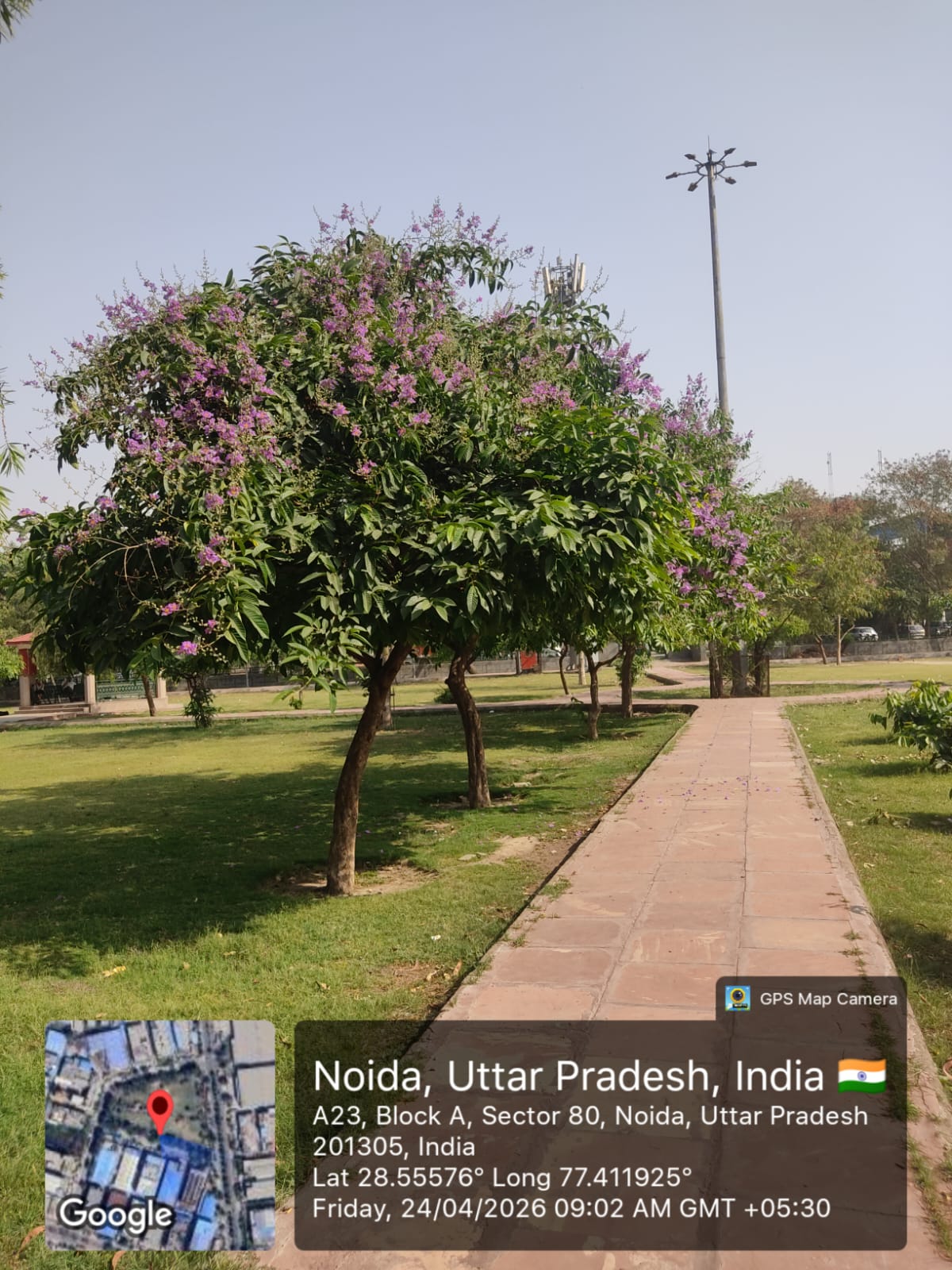 Noida Authority