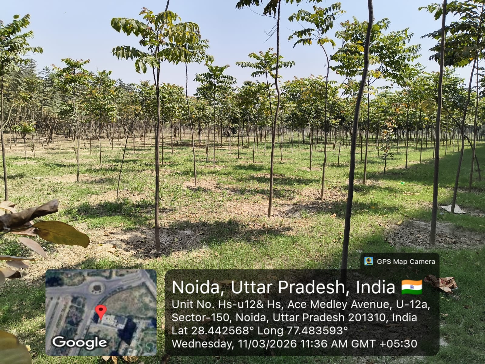 Noida Authority