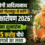 सीएम योगी आदित्यनाथ आज 12 जुलाई को गोरखपुर से करेंगे 'Maha Vriksharopan 2026' का शुभारंभ : 35 करोड़ पौधे लगाने का लक्ष्य