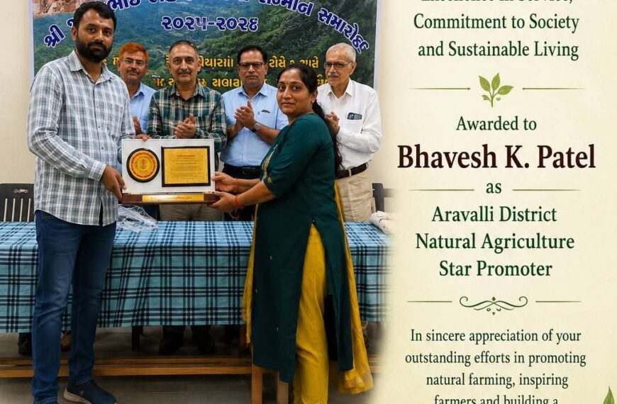 માલપુર તાલુકાના ભાવેશ પટેલ 29મા એવોર્ડથી સન્માનિત –…