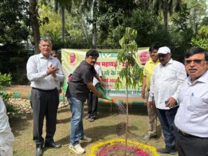 सेक्टर-14A में अधिकारियो ने लगाया अशोक का पौधा