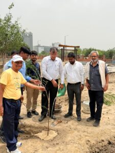 सेक्टर-14A में अधिकारियो ने लगाया अशोक का पौधा